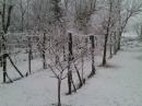 vezzano la vecchia neve